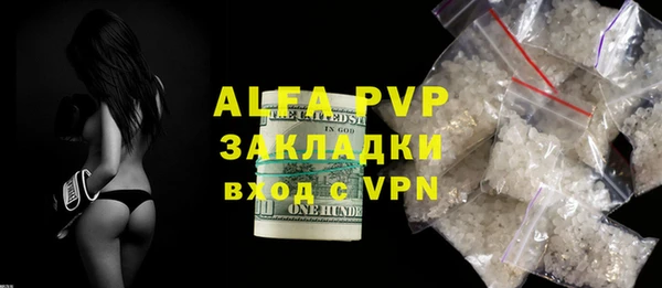 прущие грибы Заволжск
