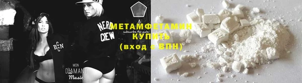 прущие грибы Заволжск