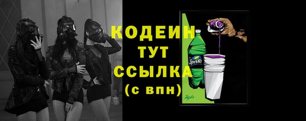 прущие грибы Заволжск