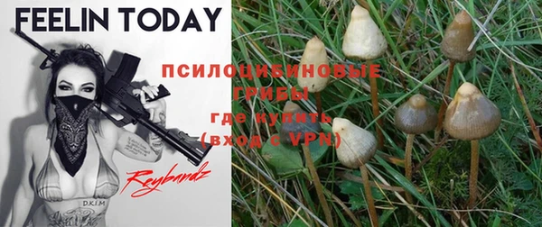мяу мяу кристалл Пестово