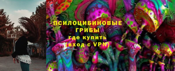 прущие грибы Заволжск