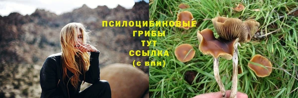 прущие грибы Заволжск