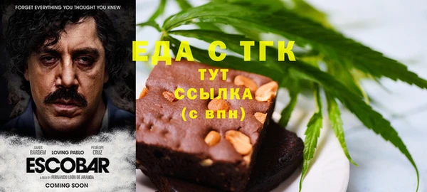 гидра Елабуга